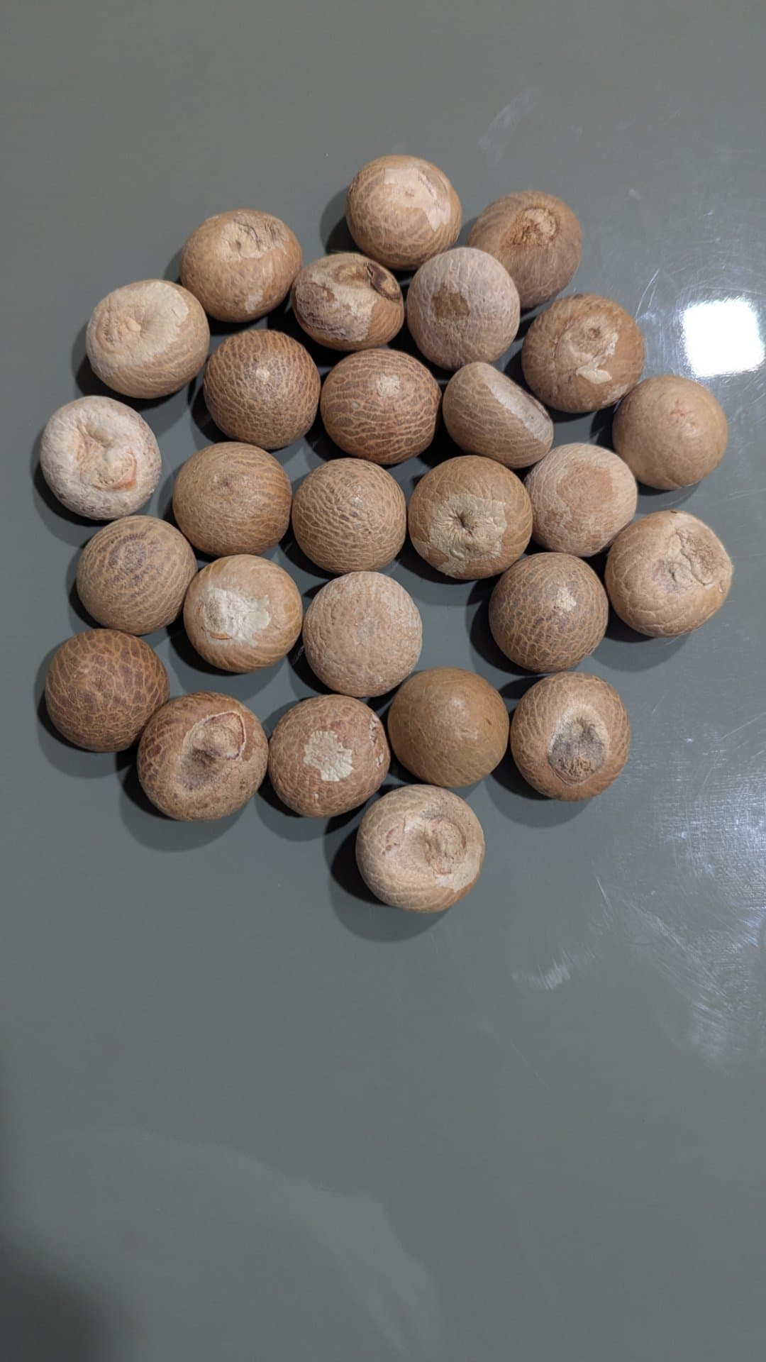 Vasraj kumata supari