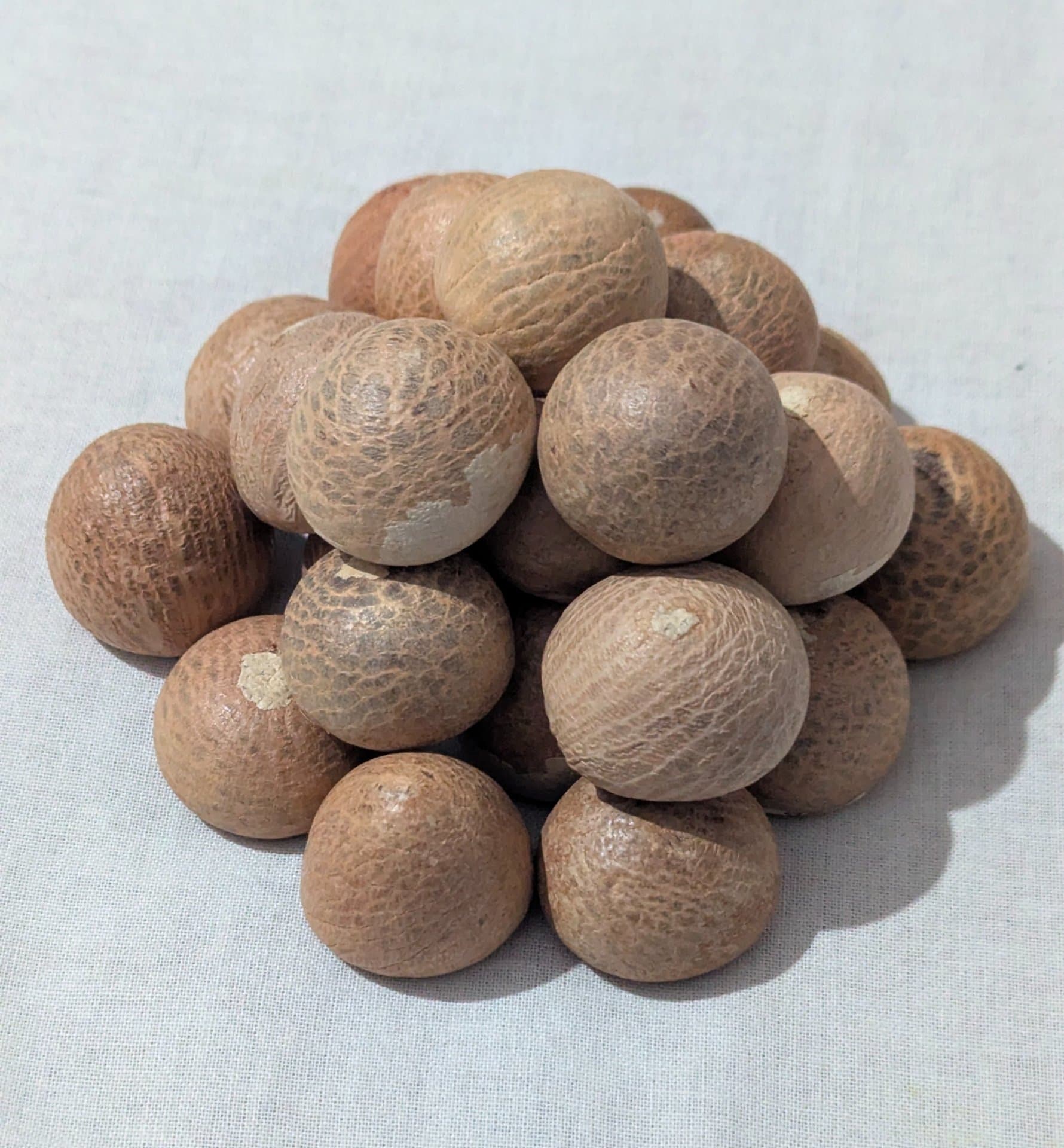 MOTi manglore supari